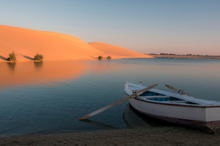 Il Cairo: Fayoum, Wadi El Rayan e Wadi al Hitan Tour 4x4Tour privato senza biglietti e pranzo