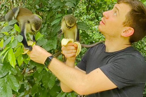 Mount Afadjato, Wli-fallet och Tafi Atome Monkey Sanctuary