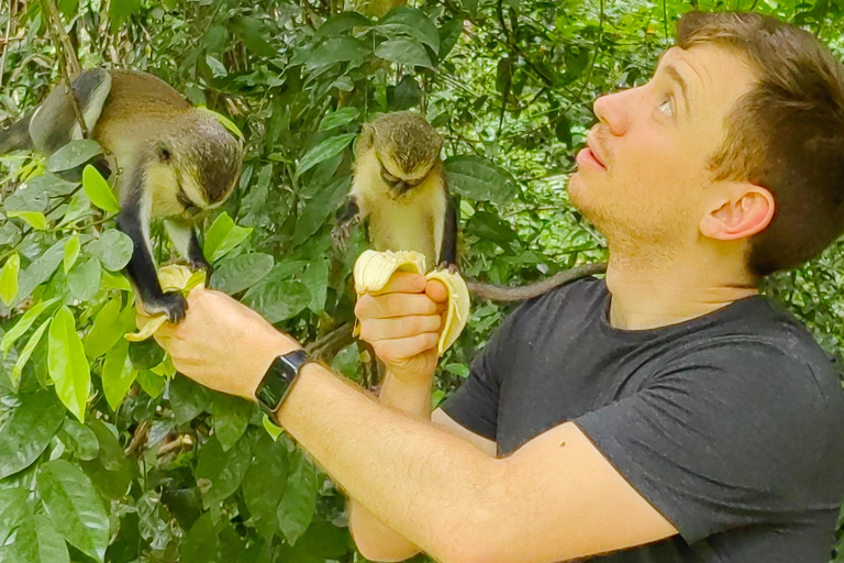 Mount Afadjato, Wli val en Tafi Atome Monkey Sanctuary