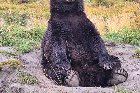 Full-day Tour in Turnagain