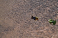 Panorama Route - Housity