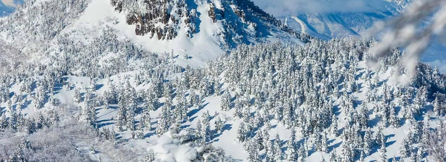 Tokyo : visite d'une journée à la station de ski de Shiga Kogen avec chauffeur anglophone