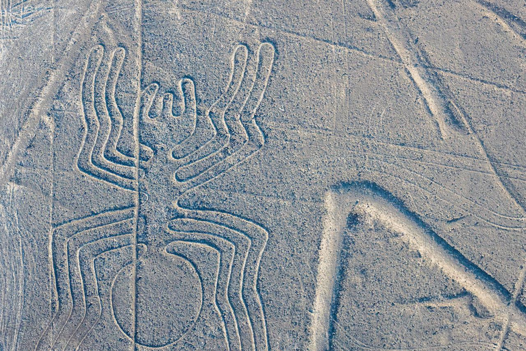 From Ica: Flight over the Nazca Lines