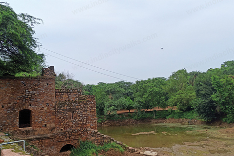 Spacer po parku archeologicznym Mehrauli