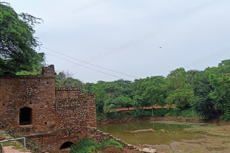 Spacer po parku archeologicznym Mehrauli