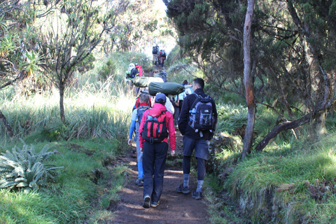 Kilimangiaro: scalata di 7 giorni della Machame Route con le guide