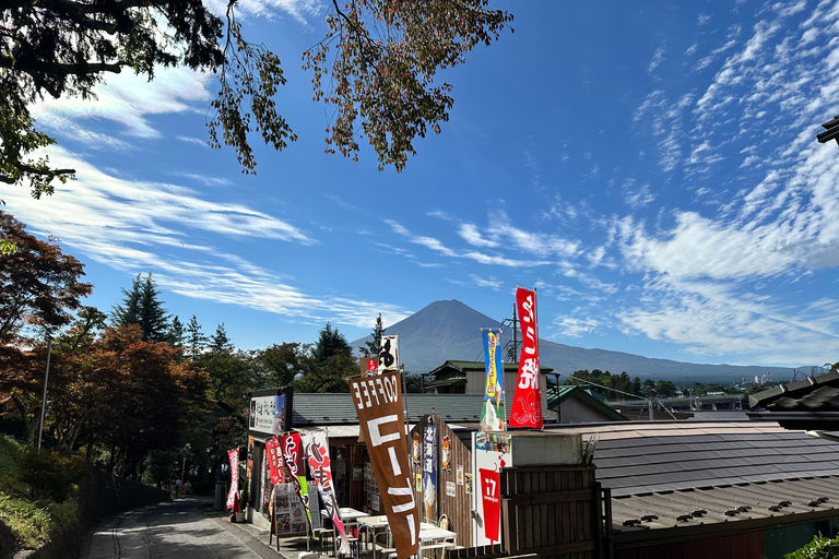 Tokyo: Mount Fuji And Hakone Full Day Trip On Luxury Car