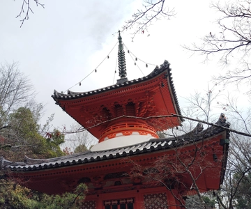 Hiroshima: Visita guidata del Tempio Mitaki-ji 1.5h