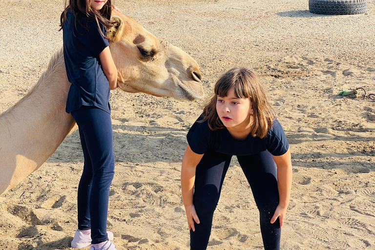 From Manama: Bahrain Full-Day Tour by Luxury Bus