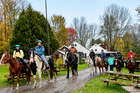 Starks: Guided Horseback Ride Through the Maine Countryside