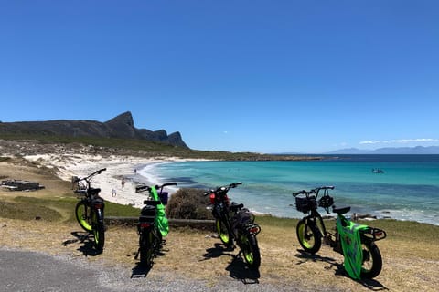 Cape Point: Classic Tour