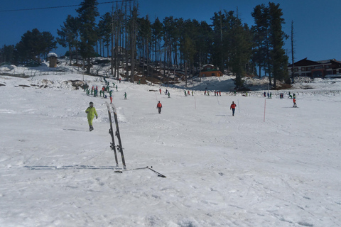 Tatra Mountains: Zakopane Private Ski Tour with Instructor Krakow: Instructor lead Ski Tour - Tatra Mountains