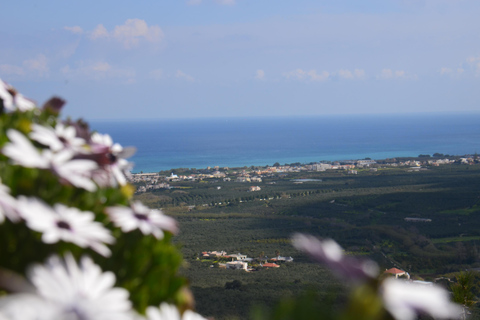 Crete: Wine & Olive Oil Tasting & Historic Villages Tour