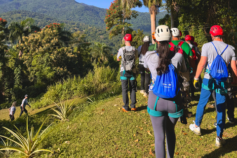 Puerto Rico: Yunque Ziplining in het regenwoud
