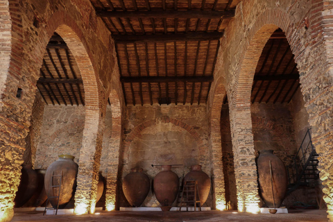 Guided tour of the Cella Vinaria Antiqua winery-museum