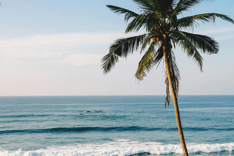 De Colombo: Excursão de 10 dias ao Sri Lanka com guia e hotel