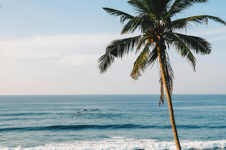 De Colombo: Excursão de 10 dias ao Sri Lanka com guia e hotel