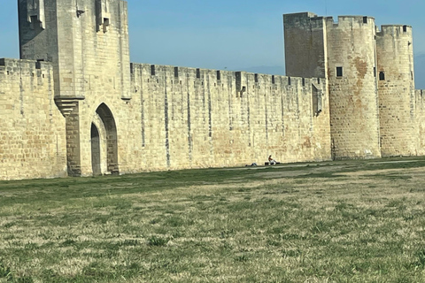 Camargue - Pink Flamingo Day, Wine and Aigues-Mortes Camargue - Pink Flamingos, Wine, and Aigues-Mortes Day