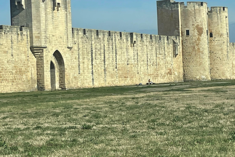 Camargue - Pink Flamingo Day, Wine and Aigues-Mortes Camargue - Pink Flamingos, Wine, and Aigues-Mortes Day