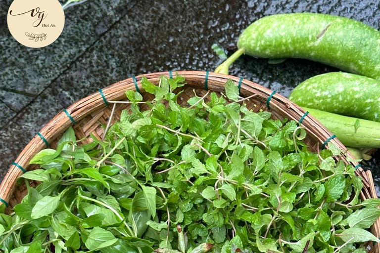 Hoi An Cooking Class with Organic Farm & Local Market