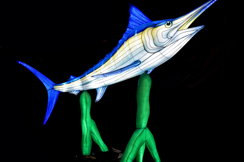 Edimburgo: tickets de entrada para el evento de linternas gigantes del zoo de EdimburgoEdimburgo: tickets de entrada para el zoo de Edimburgo y los faroles gigantes