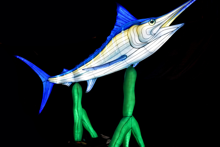 Edimburgo: tickets de entrada para el evento de linternas gigantes del zoo de EdimburgoEdimburgo: tickets de entrada para el zoo de Edimburgo y los faroles gigantes