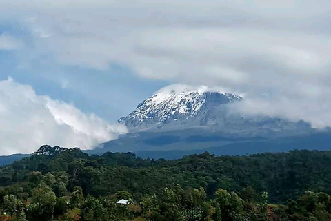 1 Day Private Cultural tour to Materuni Waterfalls & Chemka