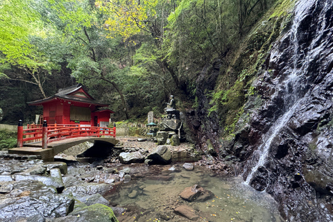 Near KIX: Shugendo Sanctuary of Waterfalls &amp; Tranquility