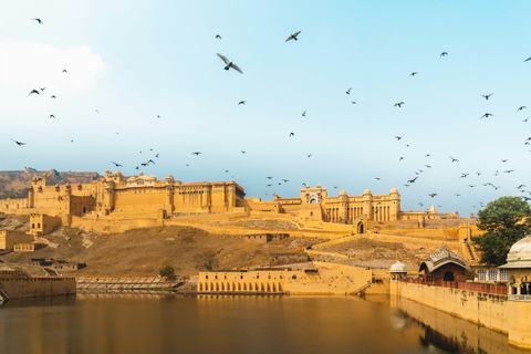 tour de la ciudad de jaipur con templo de los monos en vehículo ac