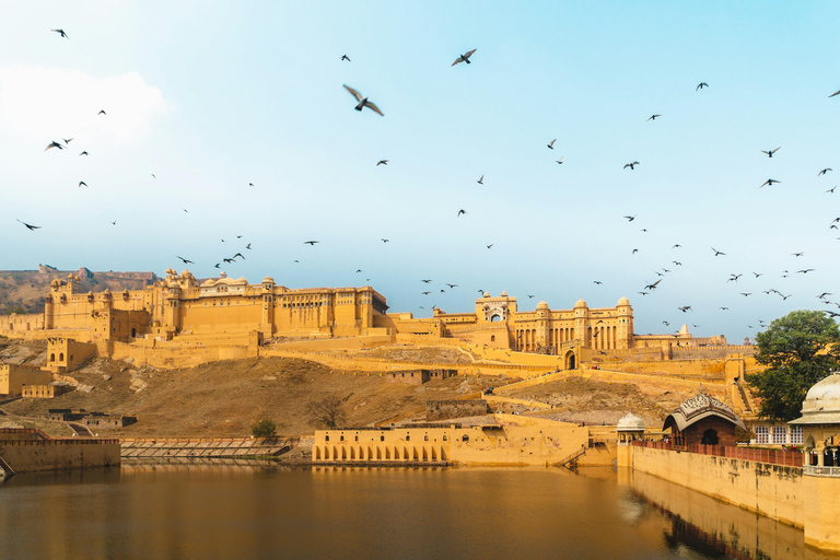 Visite de la ville de Jaipur et du temple des singes en véhicule climatisévisite d'une journée de 2 jours à jounée avec le temple des singes