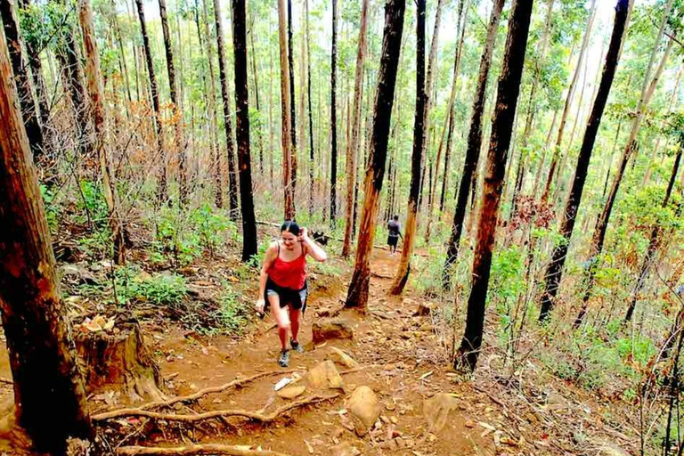Explorez Ella : randonnée sur les rochers, boucle, cascades, neuf arches et vue sur le trainDécouvrez Ella : randonnée dans les rochers, boucle, chutes d&#039;eau, neuf arches et vue