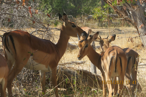 Cascate Vittoria, Parco Nazionale e Museo Mosi-oa-Tunya