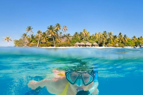 Cartagena: Rosario Oceanarium, Snorkel & Swim with Dolphins Cartagena: Rosario Islands Tour with Oceanarium & Snorkeling