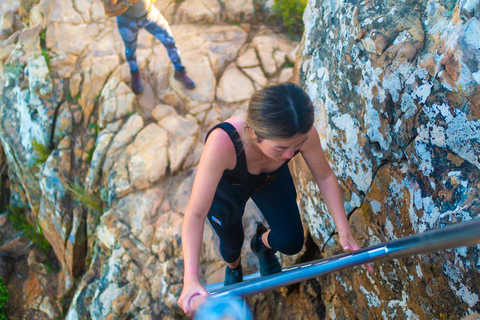 Cape Town: Lion's Head Hike with a Content Creator