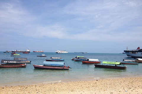 Zanzibar: tour guidato dell'isola prigione con guida localeZanzibar: tour guidato dell'isola prigione con una guida locale