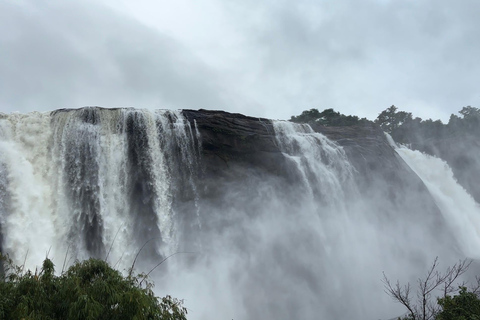 Depuis Kochi : Excursion d&#039;une journée aux chutes d&#039;eau d&#039;Athirappilly avec transferts