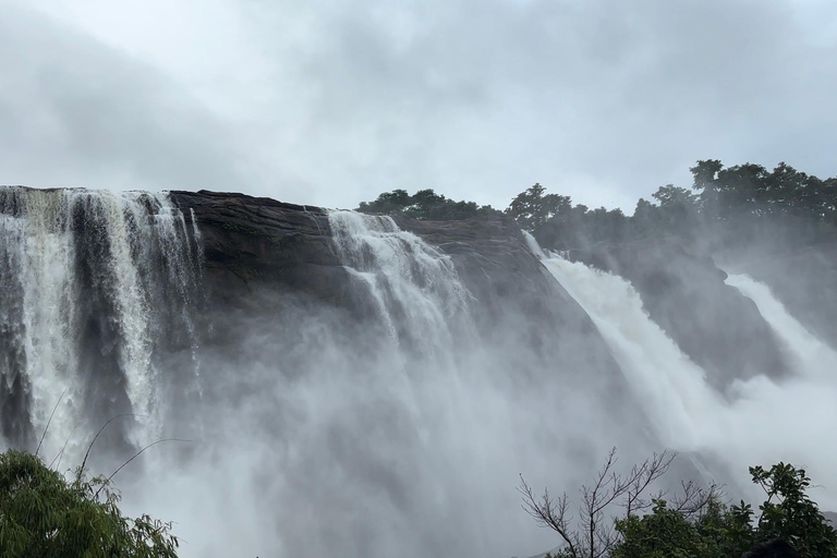 Depuis Kochi : Excursion d&#039;une journée aux chutes d&#039;eau d&#039;Athirappilly avec transferts