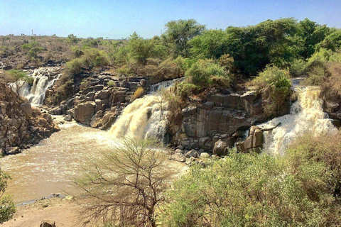Awash-Nationalpark – Safari &amp; Wasserfallblick