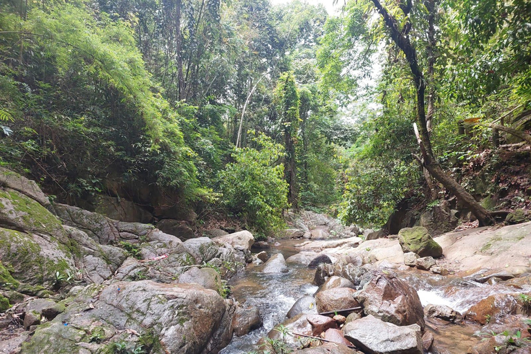 Chiang Rai Nature Escape Mae Kok River Trip and Hot Springs Chiang Rai Nature Escape by Private Van (Up to 8 Guests)