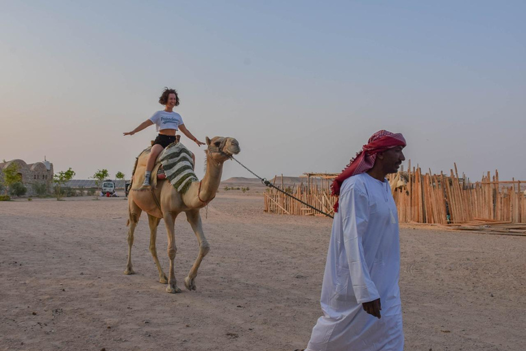 Hurghada: Camel Ride & horse ride and Off-Road Jeep Tour pickup from hotels inside hurghada