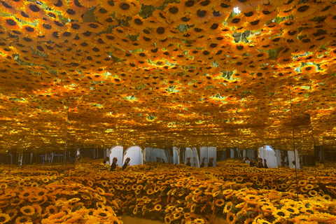 Ho Chi Minh City Sightseeing Phu My Port Shore Excursion Private Premium Car Tour With Massage