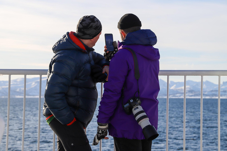 Desde Tromsø: Excursión nocturna de auroras boreales y avistamiento de ballenasDesde Tromsø: Excursión nocturna para ver auroras boreales y ballenas