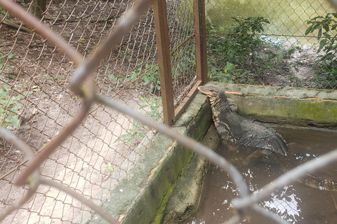 Chi so mountain _ Ta moa zoo_ Bati temple Tour