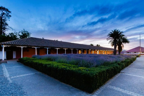 Santiago : visite privée de la ville et dégustation de vins à Viña Santa Rita