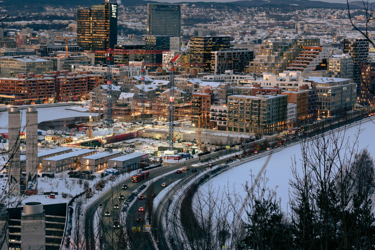 Oslo: Christmas tour with a professional chef