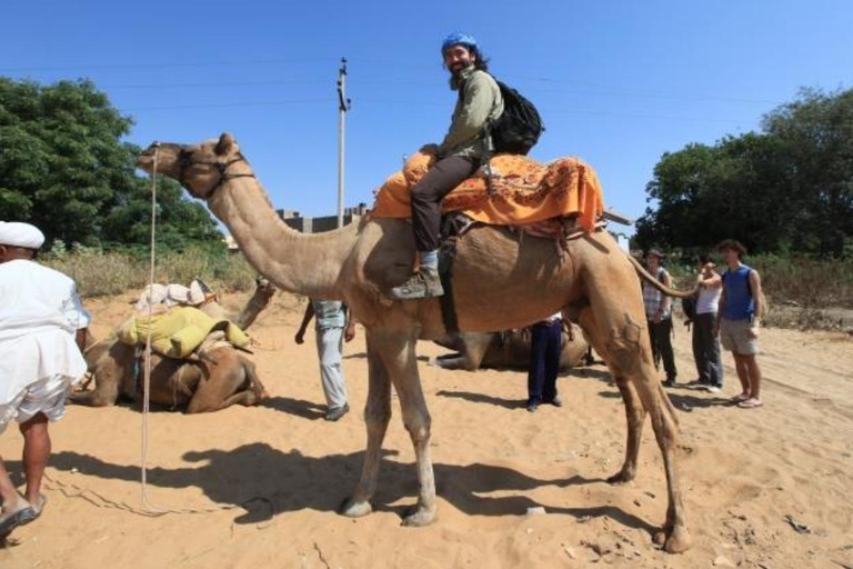 Camel Safari With Temple Visit From Jodhpur Camel Safari With Temple Visit