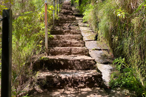 Rabaçal , 25 Fontes and Levada do Risco