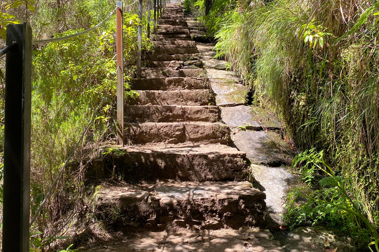 Rabaçal , 25 Fontes and Levada do Risco