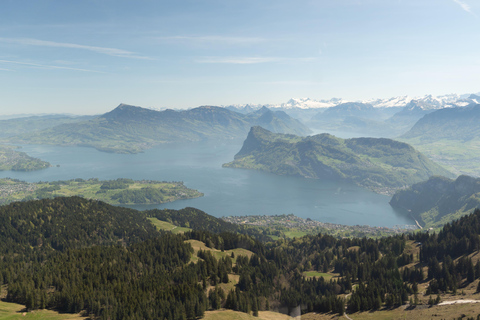 Lucerne: Lake Cruise & Old Town Tour w/ Guide & Photographer