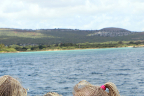 Oahu: Snorkeling & Dolphin Watch Cruise with Hawaiian Buffet Private: All-Inclusive Sunset Snorkel Cruise with Hot Buffet